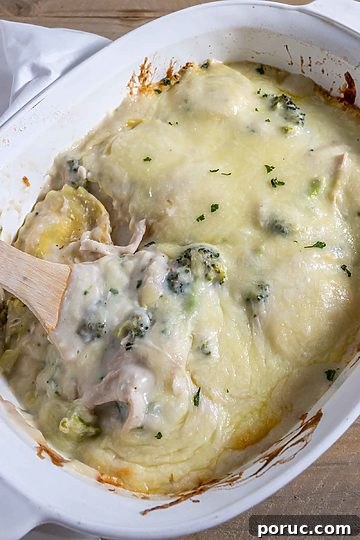 Creamy Chicken Ravioli Alfredo Recipe for Quick Weeknight Dinner 7 img 1411 12