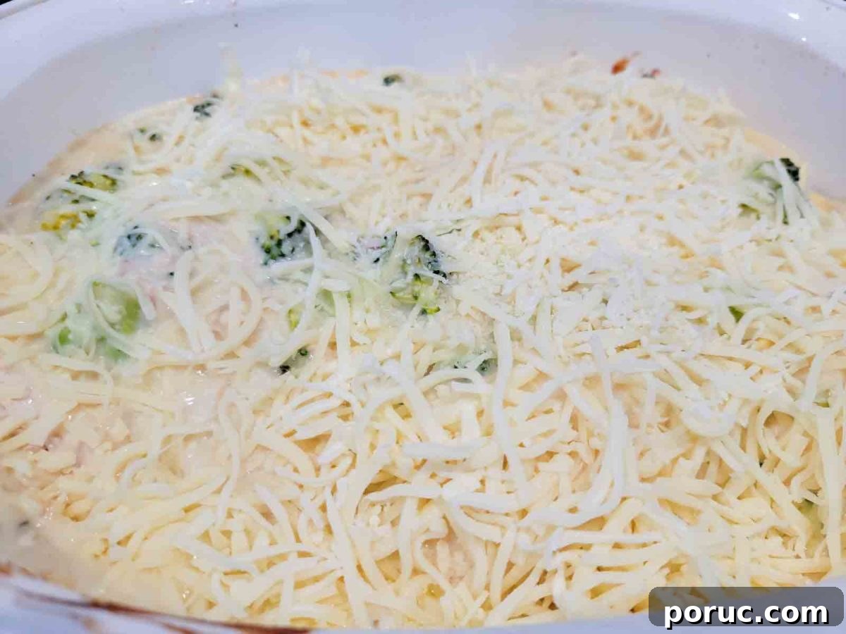 Creamy Chicken Ravioli Alfredo Recipe for Quick Weeknight Dinner 5 Chicken Broccoli Ravioli Alfredo topped with mozzarella cheese in a large baking dish.
