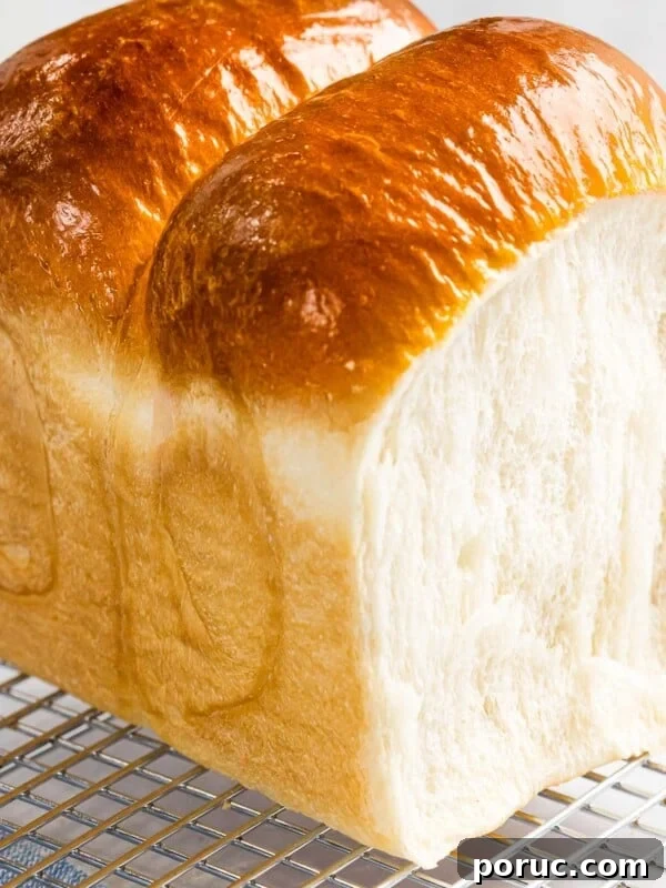 Soft and fluffy milk bread (shokupan) with golden crust.