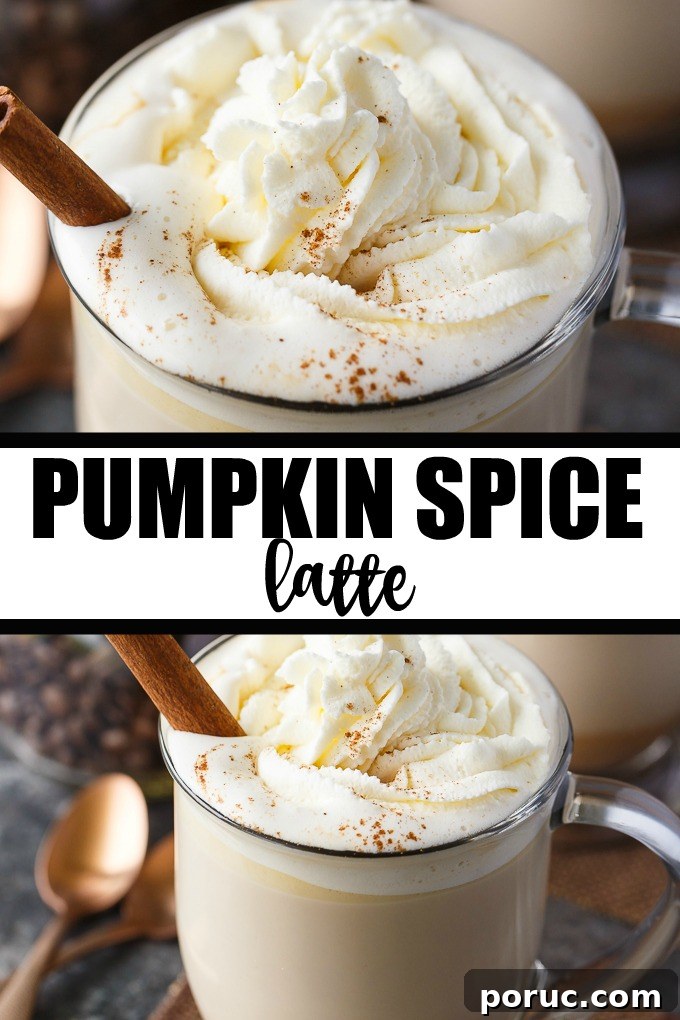 Pumpkin Spice Latte Recipe: How to Make a Café-Style PSL at Home 12 Pumpkin Spice Latte
