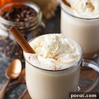 Pumpkin Spice Latte Recipe: How to Make a Café-Style PSL at Home 14 Pumpkin Spice Latte