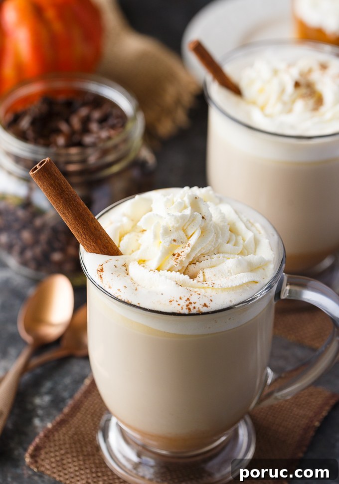 Pumpkin Spice Latte Recipe: How to Make a Café-Style PSL at Home 9 Pumpkin Spice Latte