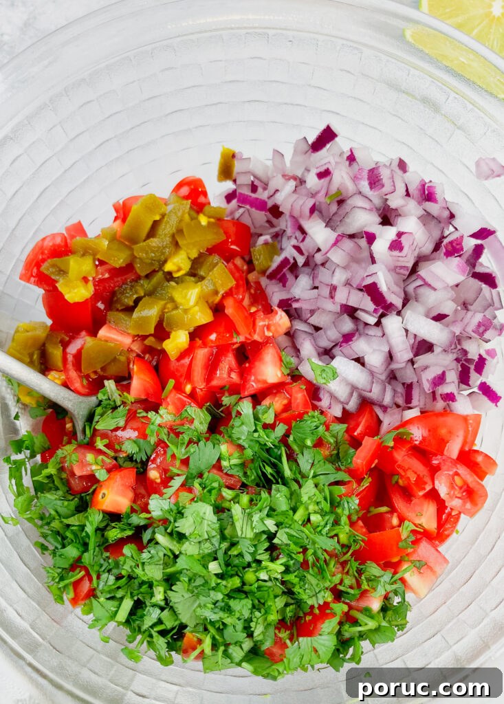 Mild Pico de Gallo Recipe: Fresh Tomato Salsa for Any Meal 3 mild pico de gallo ingredients