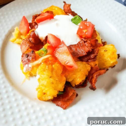 Cheesy Bacon Loaded Tater Tots Recipe 8 A plate of loaded tater tots.