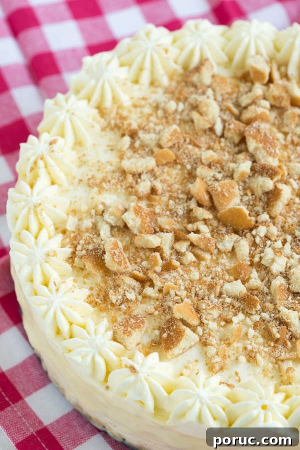 No-Bake Banana Cream Cheesecake Pudding Recipe 5 No Bake Banana Cream Pudding Cheesecake combines everything you love about banana pudding and cheesecake in one irresistible dessert!