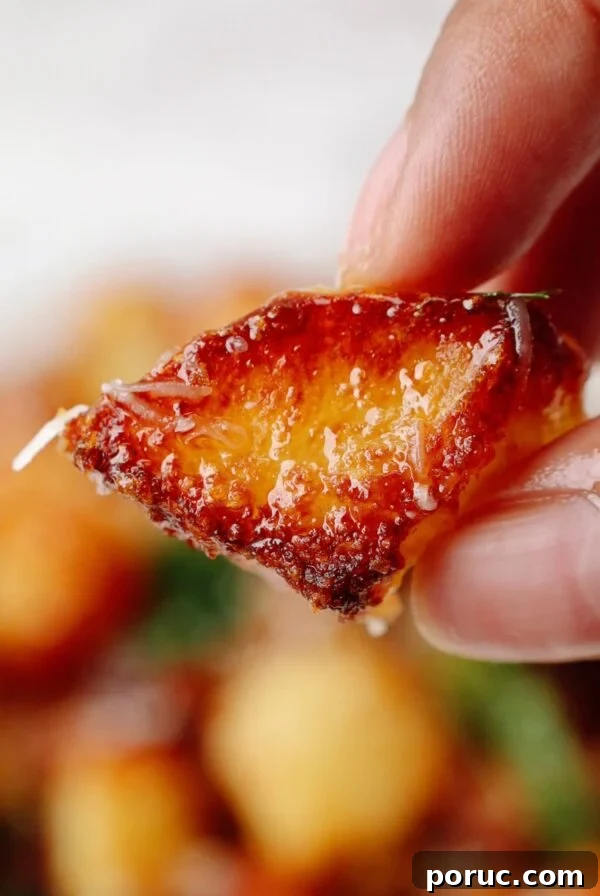 A crispy air fried potato held in someone's hand.