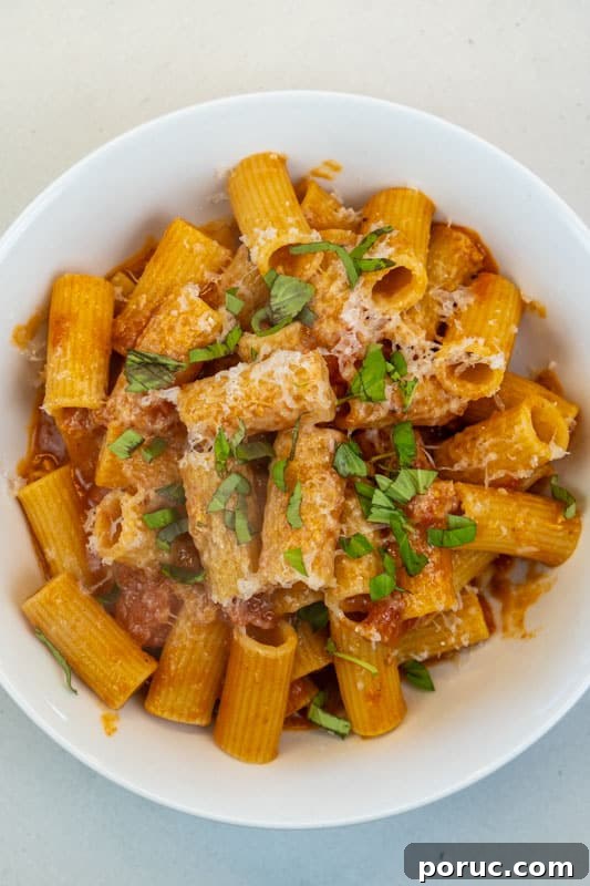 Creamy Tomato Pasta Without Dairy: Rich Vegan Tomato Pasta Recipe 2 Creamy Tomato Pasta (No Cream!)