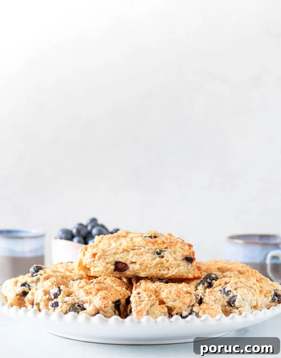 Tender Fluffy Blueberry Scones Recipe — Step-by-Step Guide 2 Scones made with the blueberry scone recipe piled on a white serving plate. A white background and pink bowl of fresh blueberries are in the rear of the shot