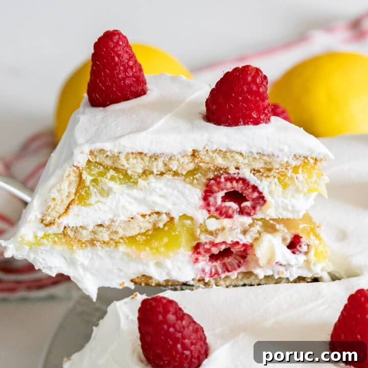 Raspberry Lemon Icebox Pie