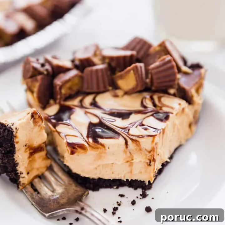 No Bake Peanut Butter Pie