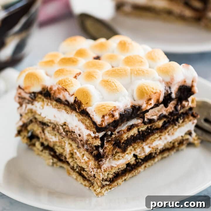 Icebox Smores Cake