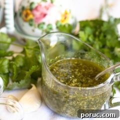 Chimichurri Sauce: Flavorful Argentine Condiment Recipe 2 chimichurri