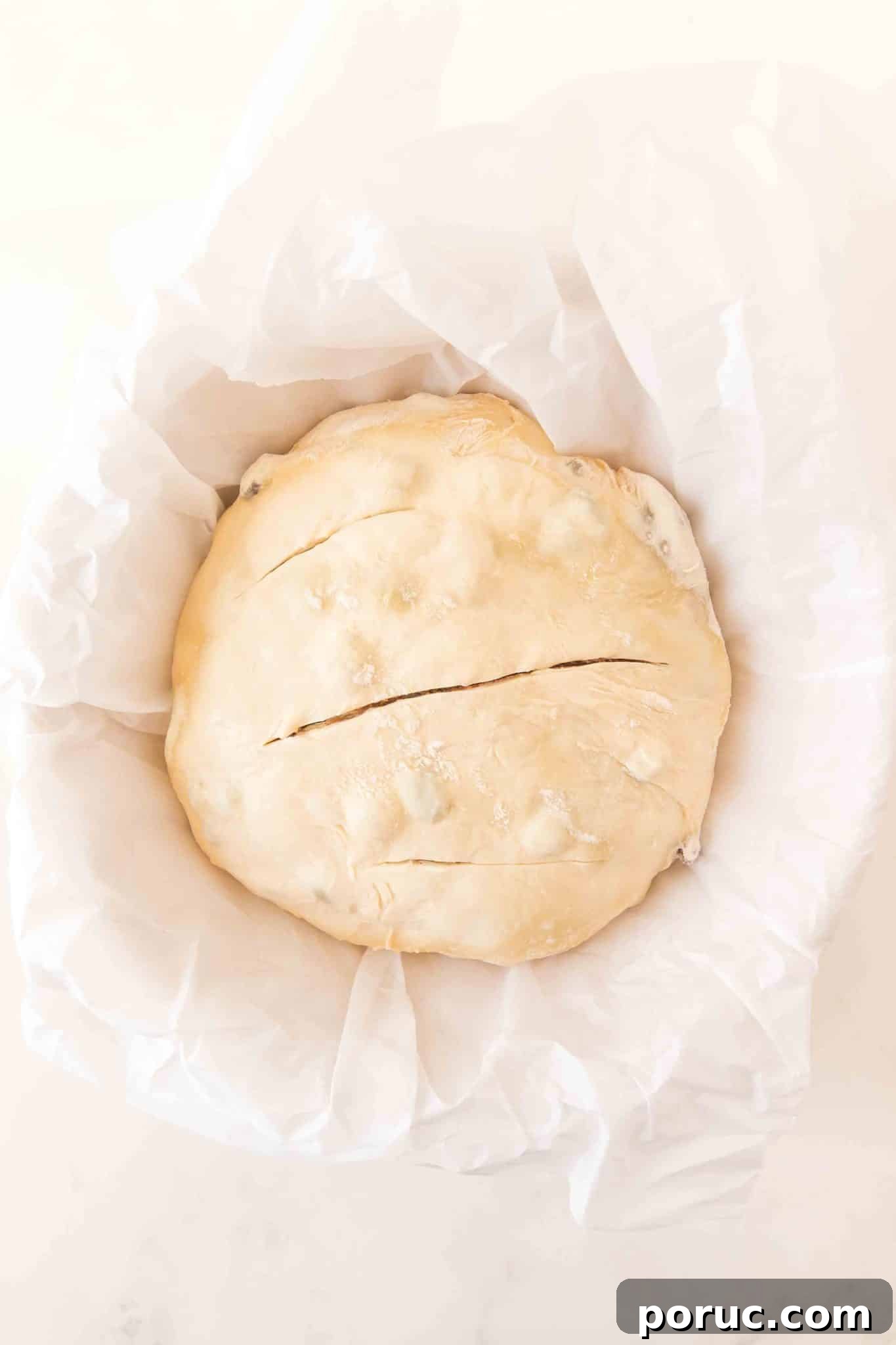 Sourdough Cinnamon Raisin Loaf — Soft, Sweet, Perfect Spice 14 Sourdough cinnamon raisin bread scored three times on top, in a Dutch oven ready to go into the oven. Hostess At Heart