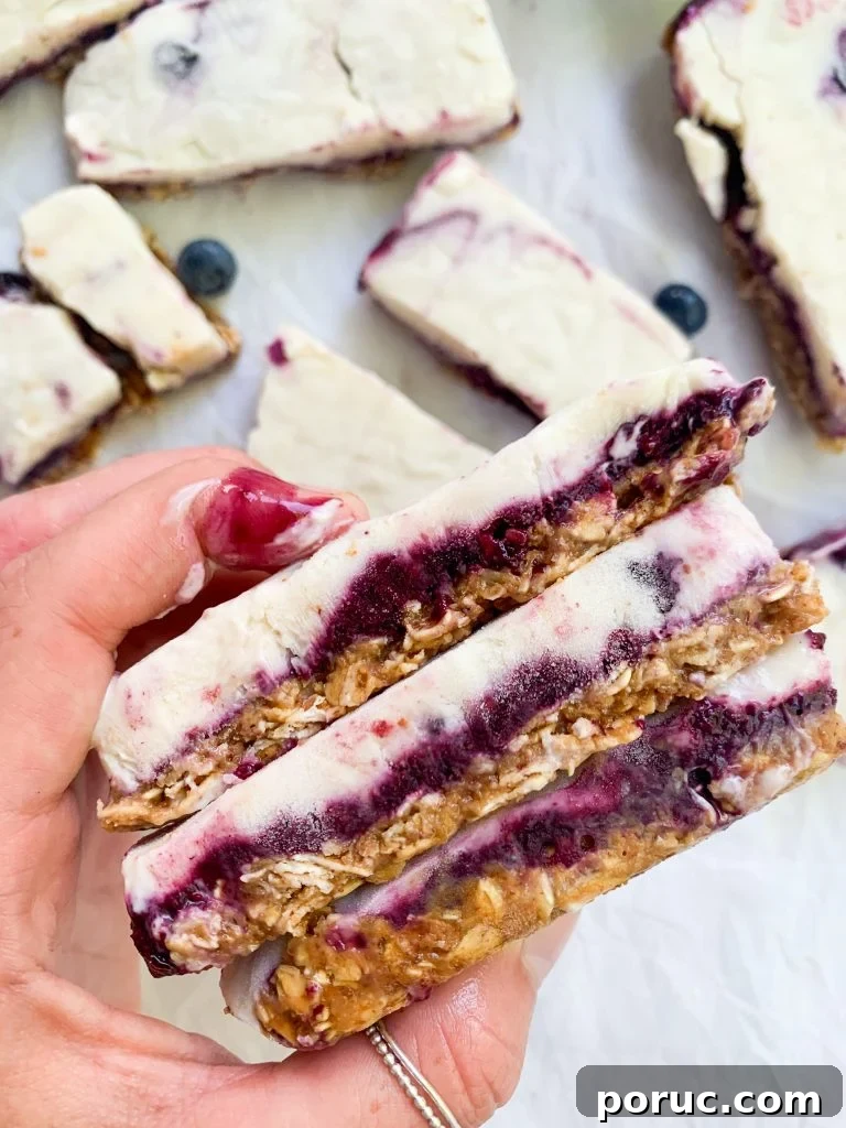 Granola and Berry Frozen Yogurt Bars for Summer Snacking 2 granola and berries frozen yogurt bars