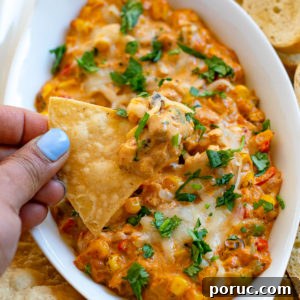 Indian Masala corn dip