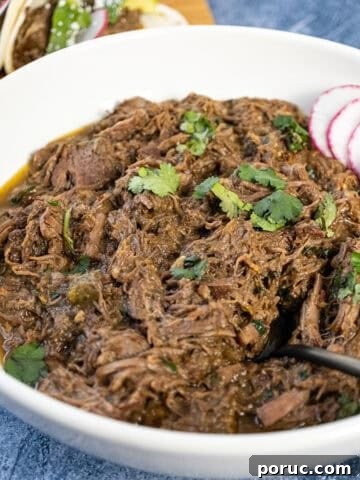 Barbacoa in a bowl topped with cilantro.