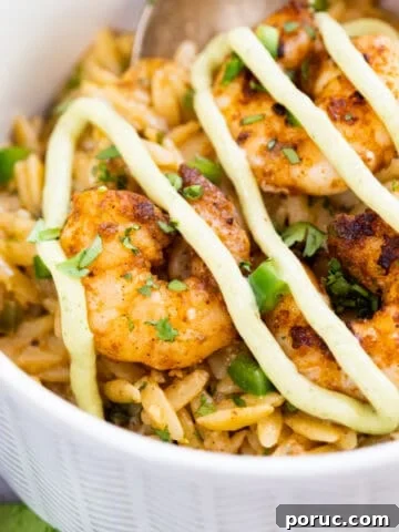 cast iron shrimp with orzo