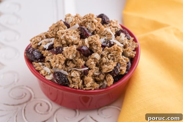 6 Simple Ways to Cook Flavorful Oats for Breakfast 2 Cranberry Coconut Granola
