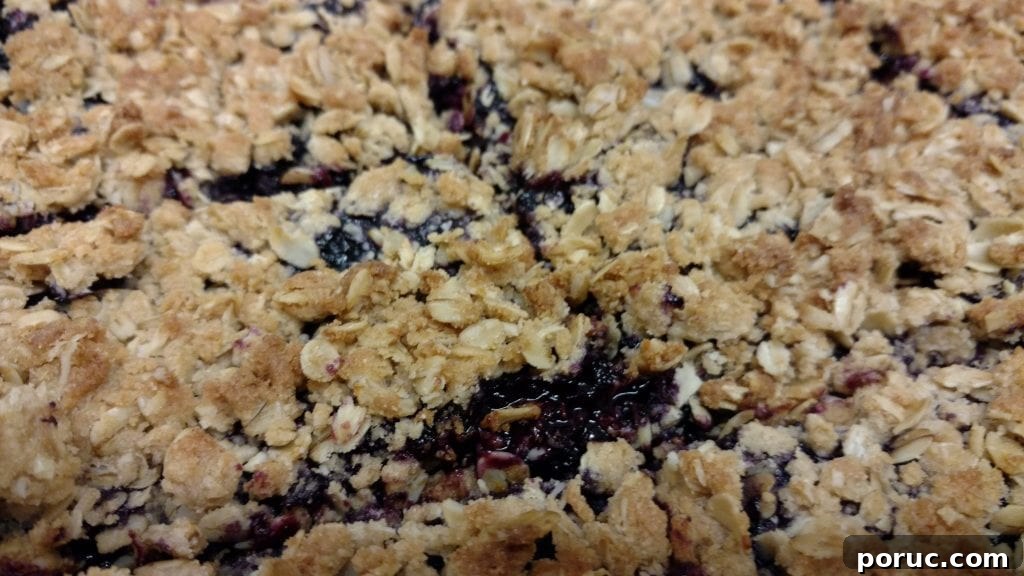 6 Simple Ways to Cook Flavorful Oats for Breakfast 4 Chef Sam’s Blueberry Oat Bars