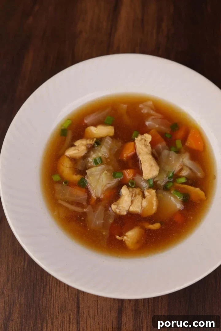 Asian-Style Chicken and Napa Cabbage Soup Recipe 2 A comforting bowl of Asian style chicken and cabbage soup.