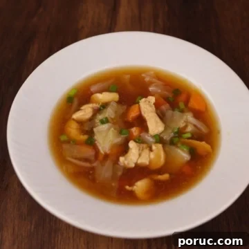 Asian-Style Chicken and Napa Cabbage Soup Recipe 7 Quick Asian style chicken cabbage soup in a bowl.
