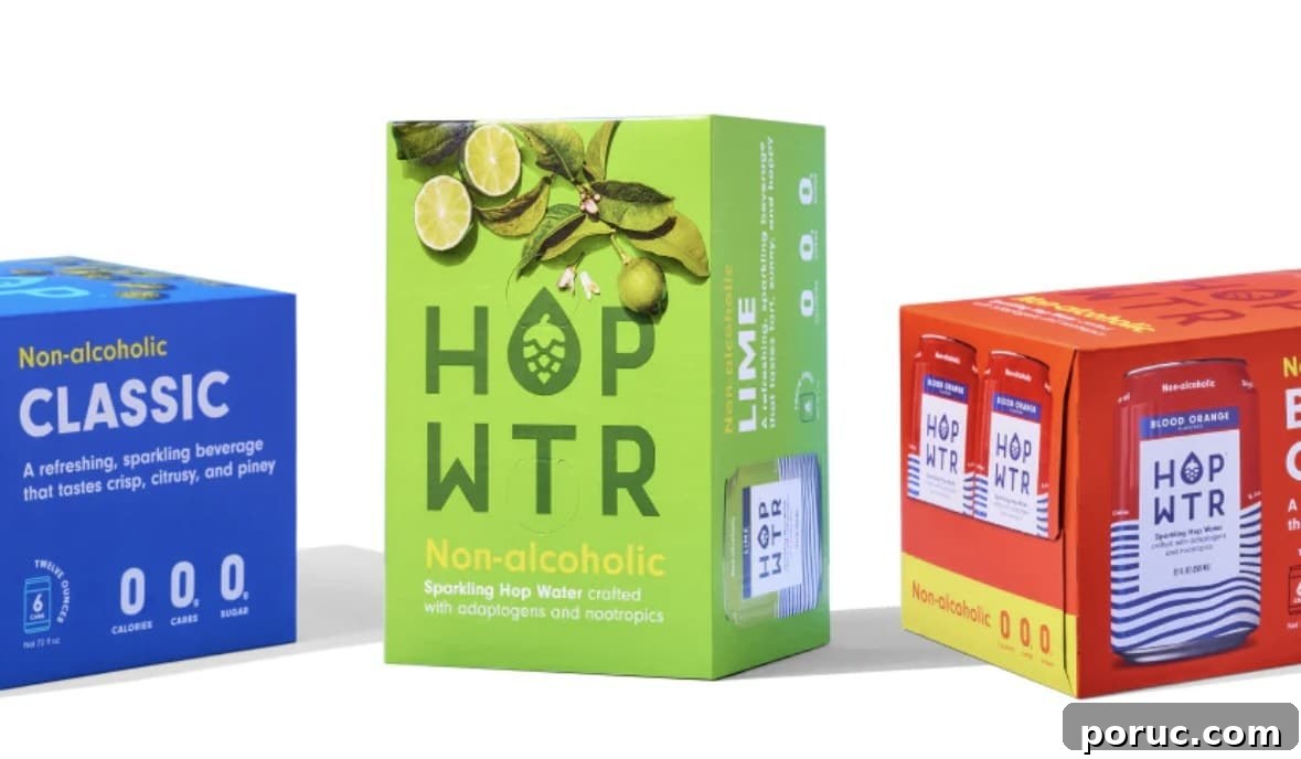 Top Non-Alcoholic Summer Drinks to Sip in 2025 7 HOP WTR.