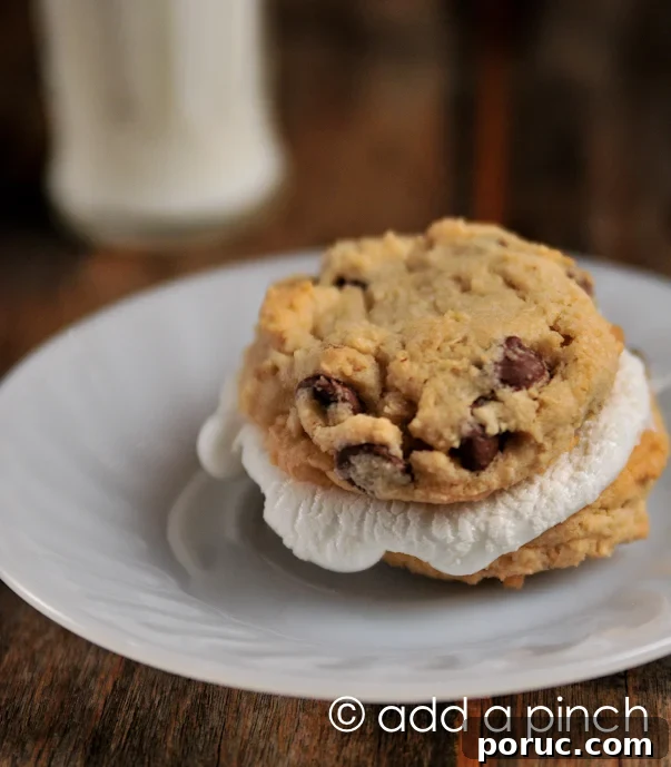 Add a Pinch | Chocolate Chip Cookies Smores-3 Chocolate Chip Cookie Smores | ©addapinch.com