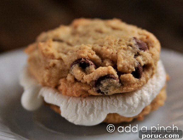 Add a Pinch | Chocolate Chip Cookies Smores-1 Chocolate Chip Cookie Smores | ©addapinch.com