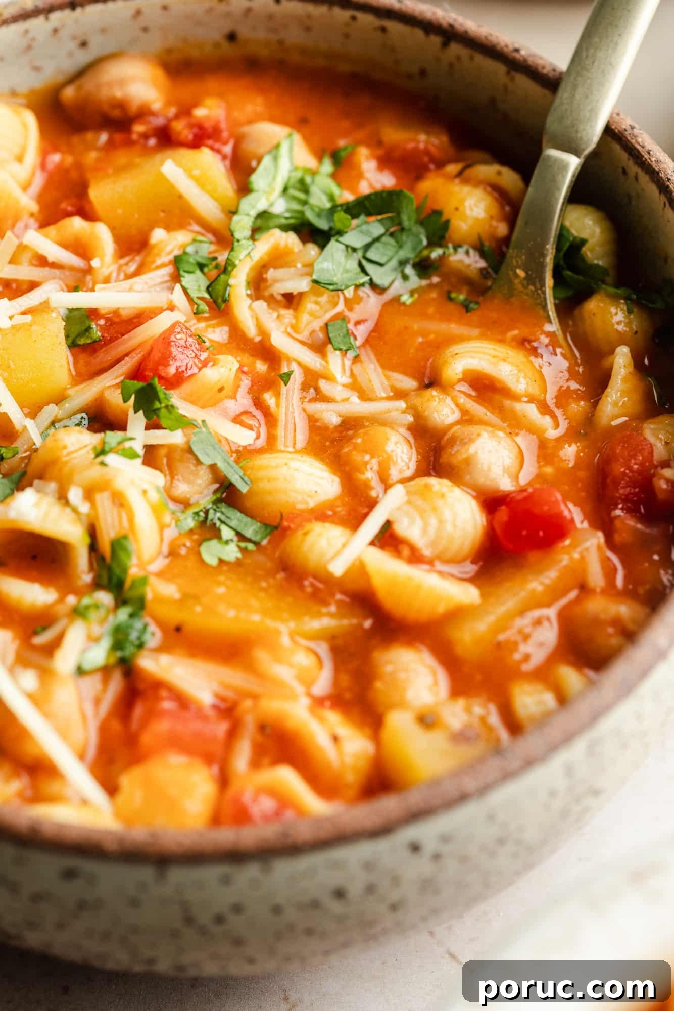 Hearty Italian Chickpea Soup Recipe for Comforting Weeknight Meals 3 close up on Italian chickpea soup topped with vegan parmesan and parsley in a bowl.