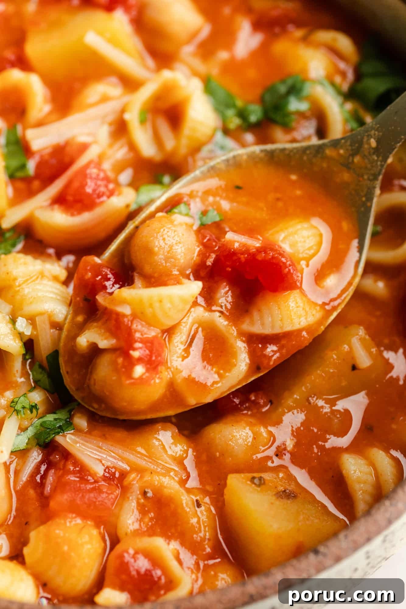 Hearty Italian Chickpea Soup Recipe for Comforting Weeknight Meals 9 close up on a spoonful of Italian chickpea soup.