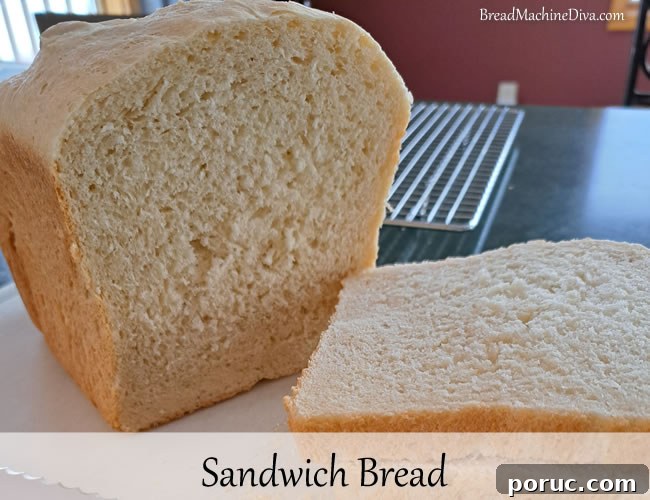 Zojirushi Homemade Sandwich Bread Recipe (Home-Made Setting) 2 Sandwich Bread Recipe for the Zojirushi Home Made Setting