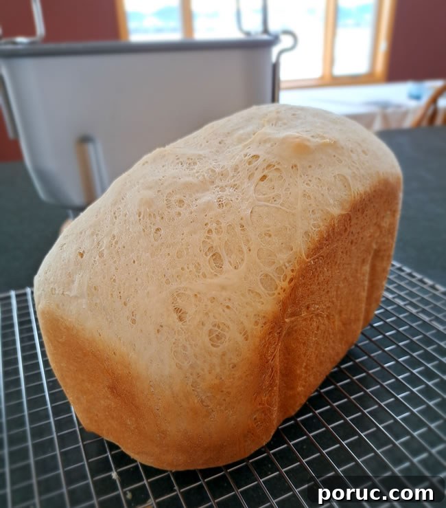 Zojirushi Homemade Sandwich Bread Recipe (Home-Made Setting) 4 Sandwich bread