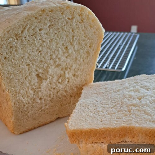 Zojirushi Homemade Sandwich Bread Recipe (Home-Made Setting) 5 Sandwich Bread – Two Pound Loaf Using the Home Made Setting