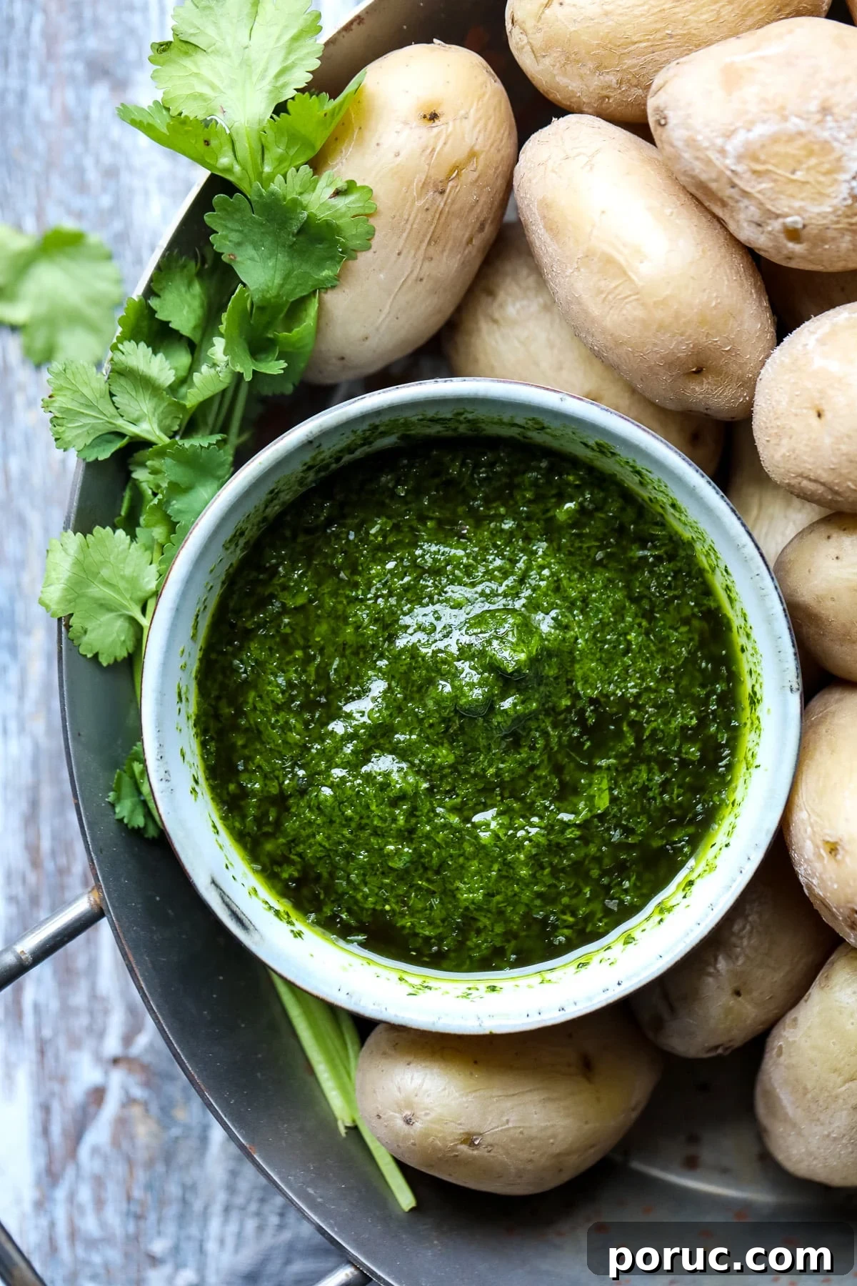 Canarian wrinkled potatoes served with mojo verde sauce.