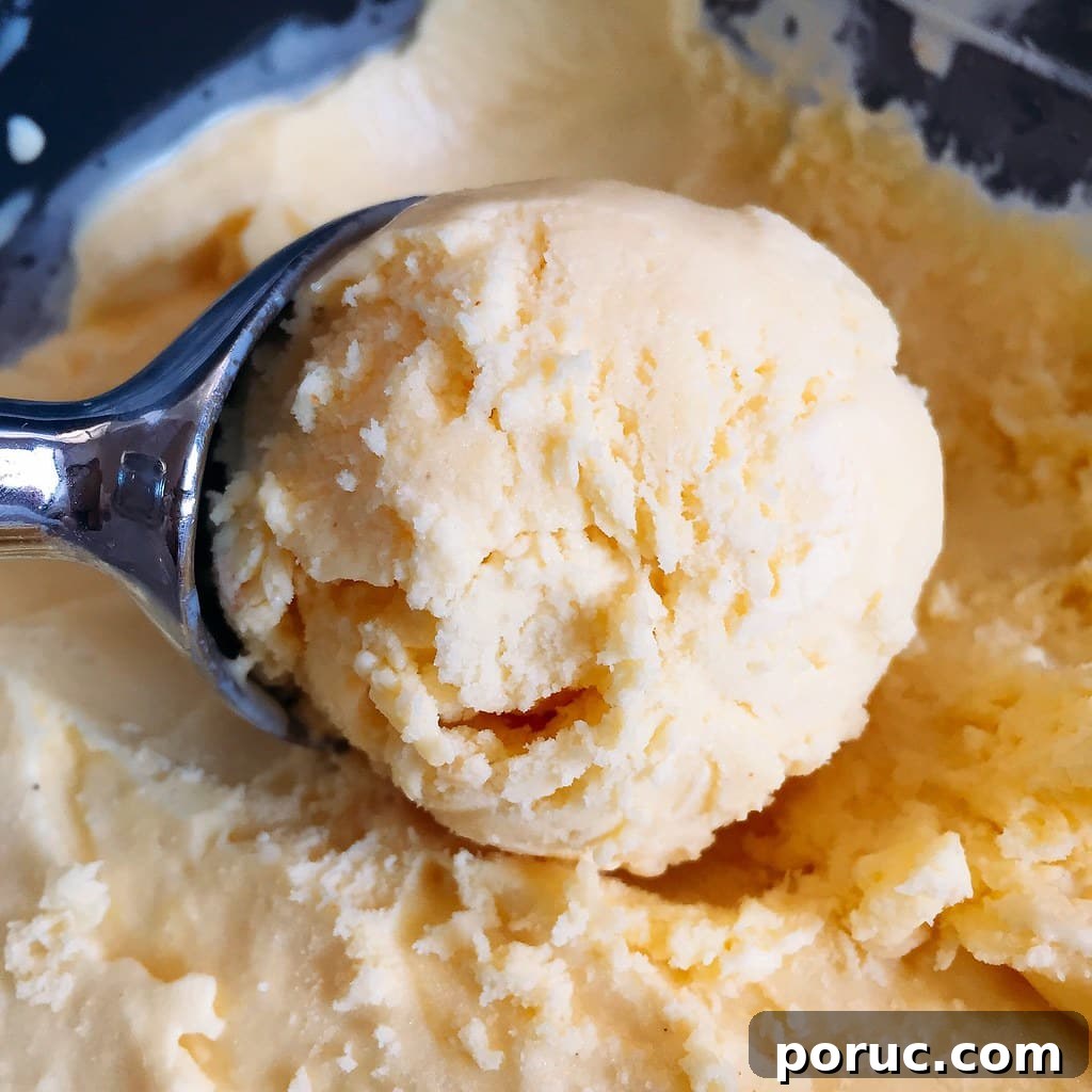 Custard Ice Cream