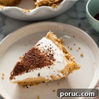 Silky Peanut Butter Mousse Pie Recipe for Chocolate Lovers 2 Peanut Butter Mousse Pie from thelittlekitchen.net