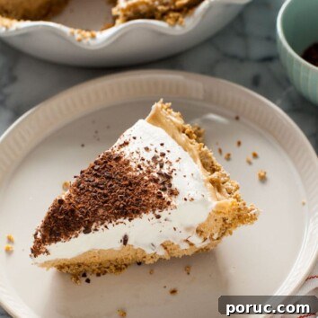 Silky Peanut Butter Mousse Pie Recipe for Chocolate Lovers 3 Peanut Butter Mousse Pie from thelittlekitchen.net