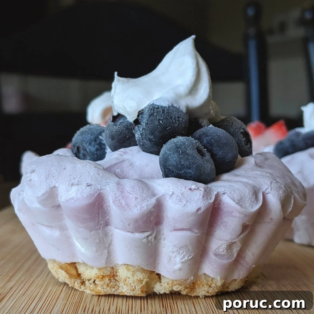 8 Delicious Desserts Under 100 Calories Each 3 img 2240 2