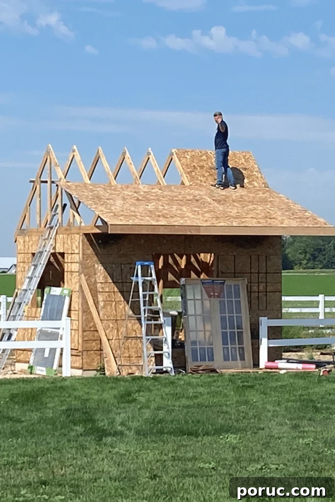 How to Build a Root Cellar Under Your Garden Shed (Updated) 10 garden shed on root cellar