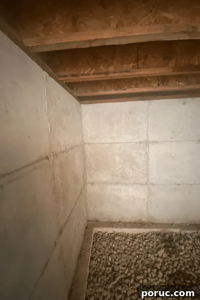 How to Build a Root Cellar Under Your Garden Shed (Updated) 8 root cellar interior