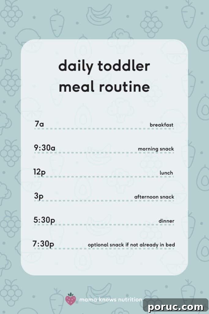 Getting Started Helping a Picky Eater: Practical First Steps 3 daily toddler meal routine