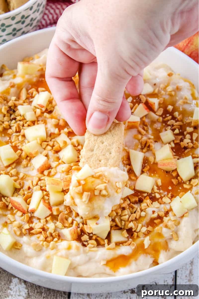 Get all the Fall feels with this 5-minute Caramel Apple Cheesecake Dip! Crazy easy to make and perfect for sharing! graham cracker being dipped in the apple cheesecake dip