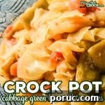 Crock Pot Cabbage Green Beans and Tomatoes
