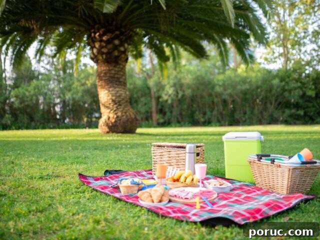 5 Picnic Recipes for a Perfect Summer Day 2 picnic at the park