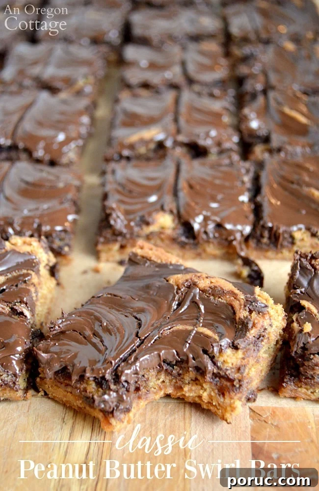 Classic Chocolate Peanut Butter Swirl Bars Recipe — Decadent Homemade Treat 2 Classic Chocolate Peanut Butter Swirl Bars