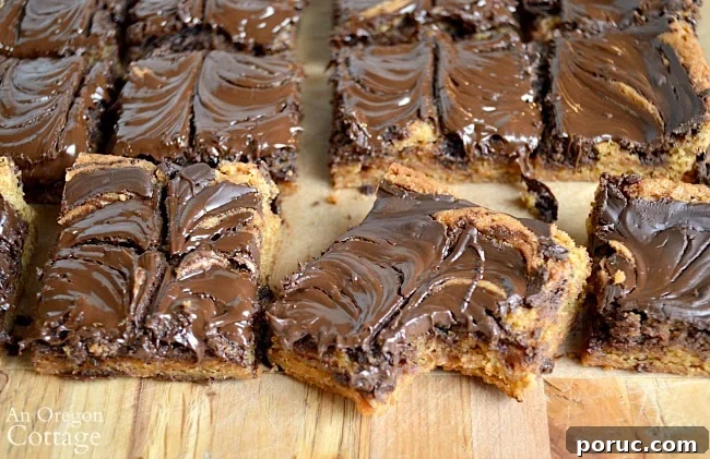 Classic Chocolate Peanut Butter Swirl Bars Recipe — Decadent Homemade Treat 9 Peanut Butter Swirl Bars
