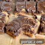 Classic Chocolate Peanut Butter Swirl Bars Recipe — Decadent Homemade Treat 10 Peanut Butter Swirl Bars with bite