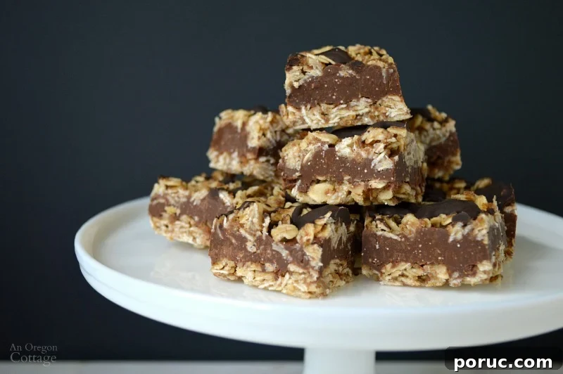 Classic Chocolate Peanut Butter Swirl Bars Recipe — Decadent Homemade Treat 11 Healthy No-Bake Fudge Oatmeal Bars
