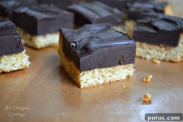Classic Chocolate Peanut Butter Swirl Bars Recipe — Decadent Homemade Treat 12 Grain Free Almond Chocolate Truffle Bars