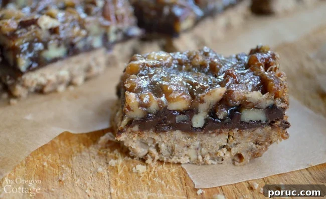 Classic Chocolate Peanut Butter Swirl Bars Recipe — Decadent Homemade Treat 13 Black Bottom Maple Pecan Pie Bars